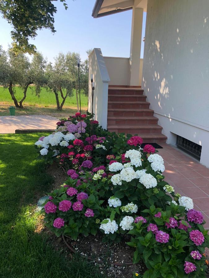 Villa Barbara San Giovanni In Marignano Esterno foto
